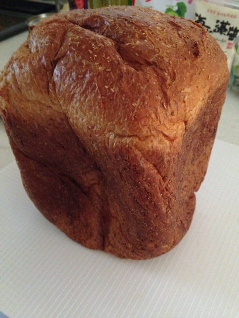 トレーニング43日目 朝